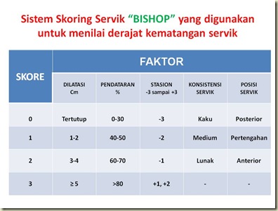 Sistem Skoring Servik Sistem Skoring Servik