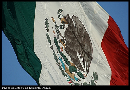 Mexican flag
