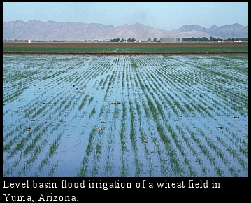 flood plain irrigation flood plain irrigation