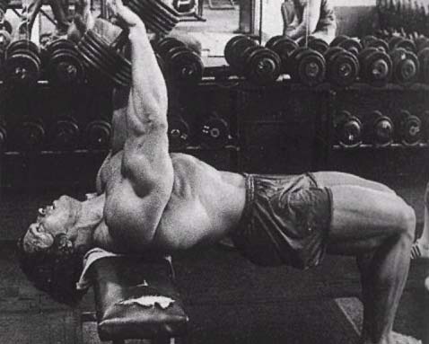 arnold schwarzenegger workout pics. Arnold Schwarzenegger#39;s