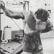 19-arnold-schwarzenegger-deltoid-lateral-cable 19-arnold-schwarzenegger-deltoid-lateral-cable
