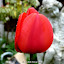 P1030043.JPG