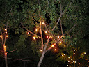 Carmen-Plaza-Cebu-December-Night-2075.jpg