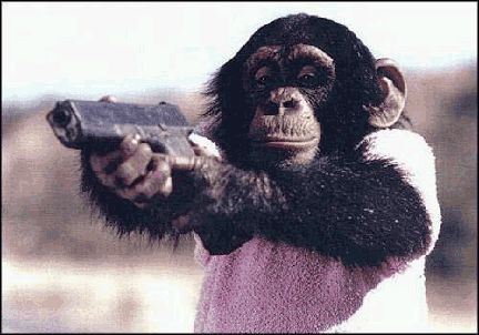 Chimpanzee - most expensive animals Chimpanzee - Most Expensive(funniest area)
