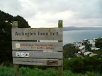 Wellington Town Belt