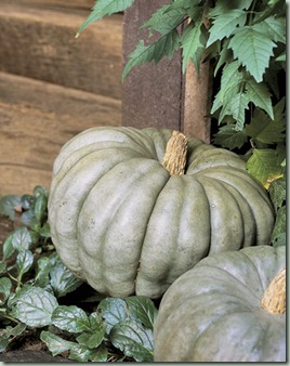 green blue pumpkins bhg