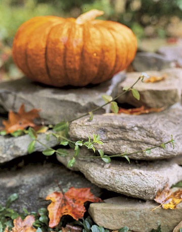 [pumpkin wall bhg.jpg]