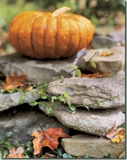 pumpkin wall bhg