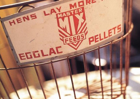 [egg-basket4.jpg]