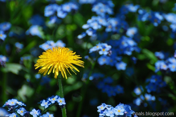 DSC_1056 DSC_1056