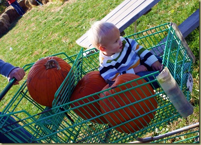 pumpkin23
