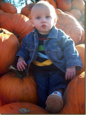 pumpkin 2