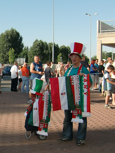 47.jpg