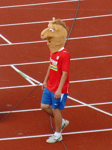 35.jpg