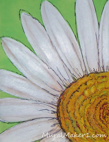 [wht-daisy-w[3].jpg]
