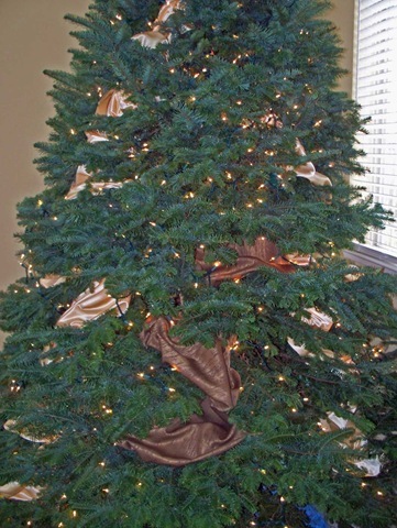 [100_1104w[2][5].jpg]