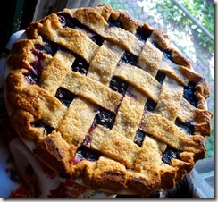 blueberry pie 2