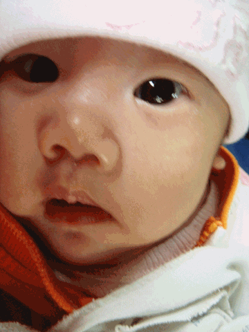 [anigif[3].gif]