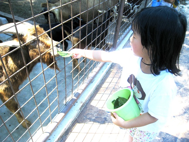 [26 Nov 073[4].jpg]