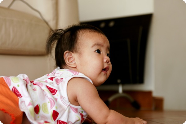 SONY DSC