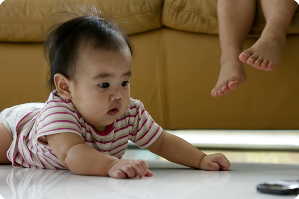 SONY DSC