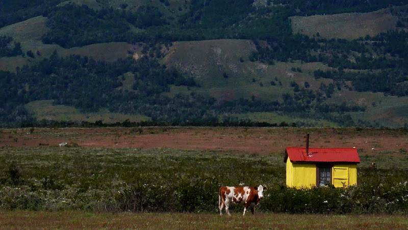 Photo of  10. Puerto Natales - Lago Porteño 