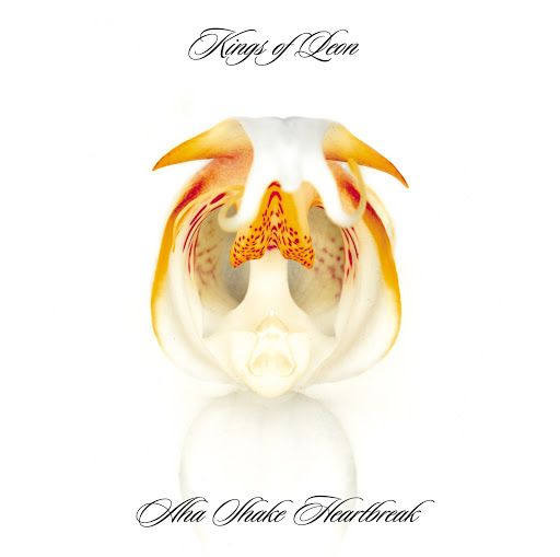 kings of leon aha