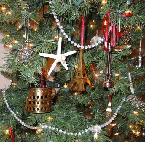 [Tree-Space-Travel[5].jpg]