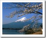 fujiyama mount