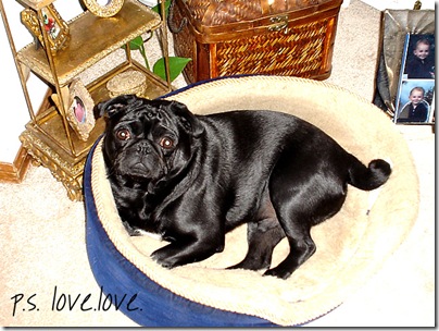max5-5-05