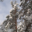 zim3 033.jpg
