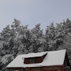 SDC10234.JPG