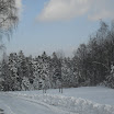 SDC10542.JPG
