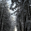 SDC10557.JPG