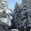 SDC10582.JPG
