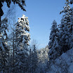 SDC10578.JPG