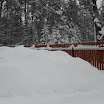 SDC10628.JPG