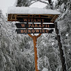 SDC10127.JPG