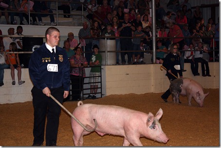 Hog Show 065 - Copy Hog Show 065 - Copy
