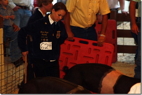 Hog Show 108 Hog Show 108
