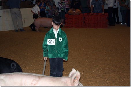 Hog Show 119