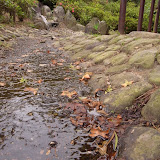 宜蘭‧羅騰堡莊園與仁山植物園