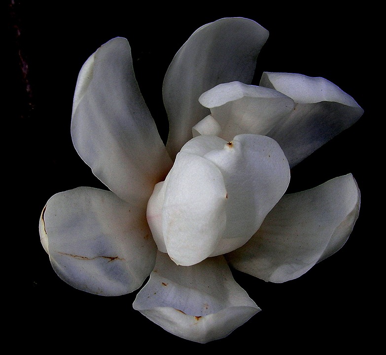 DSCN5889-2