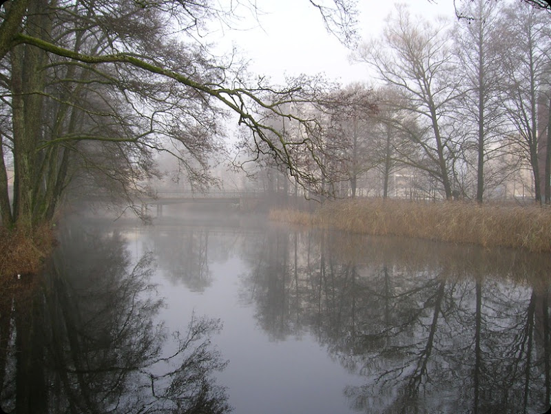 DSCN0179