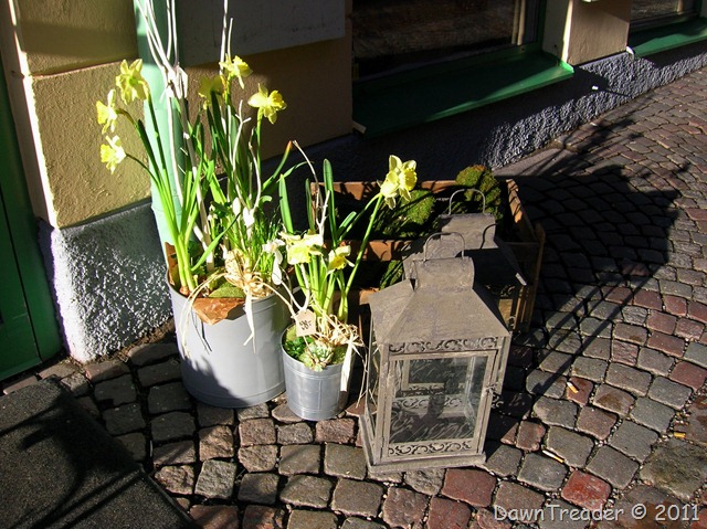 DSCN1852-1
