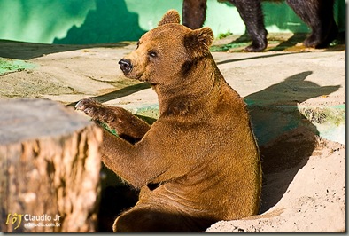 Zoo (117 of 11)