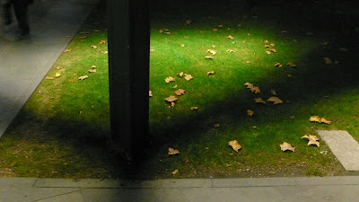 http://lh5.ggpht.com/_fJ8bb-EOrjc/SSwE4V8XsRI/AAAAAAAACA4/TYvwZJzh4eg/s400/L1060225.JPG
