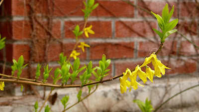 http://lh5.ggpht.com/_fJ8bb-EOrjc/SbPLcAyR4NI/AAAAAAAACoQ/qlk6mWZxf30/s400/L1060625.JPG