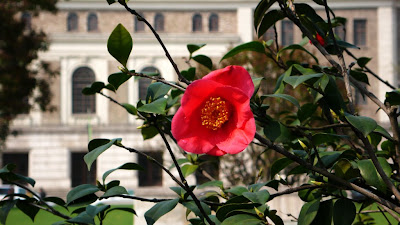 http://lh5.ggpht.com/_fJ8bb-EOrjc/SdtfBFZ1jCI/AAAAAAAAC00/fRktesyjsgY/s400/L1060691.c.jpg