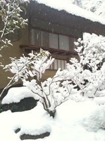 IMG_0174 IMG_0174